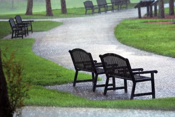 Fotobehang benches in the park © Maier