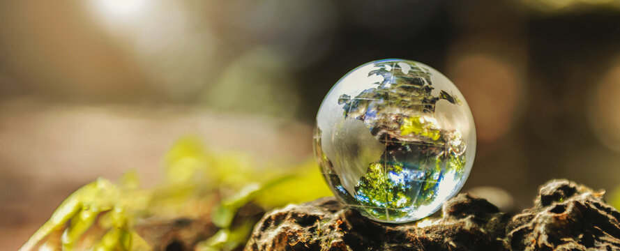 globe glass on rock with sunshine. environment concept