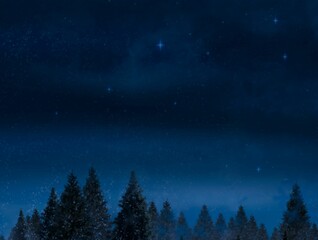 Fototapeta na wymiar Night sky over forest