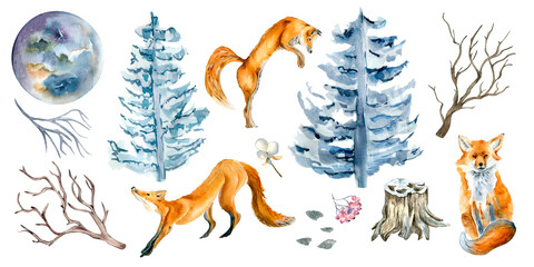 Set of fox, spruce, fir and moon watercolor illustration isolated on white background.