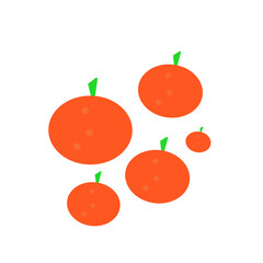 illustration of citrus fruit on a white background