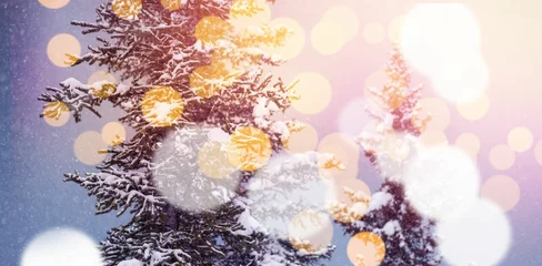 Foto op Plexiglas Snow covered trees with bokeh in foreground © vectorfusionart