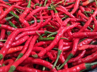 red chili patterned background texture