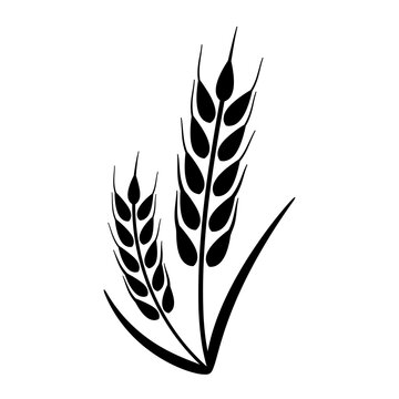 recommend clip art: Ear of Wheat, Barley or Rye. Vector icon isolated on white background