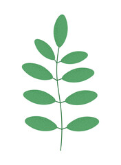 Fototapeta premium green leaves plant