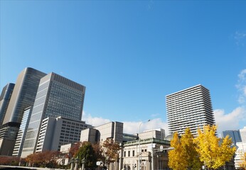 Fototapeta na wymiar 大阪の高層ビル群 