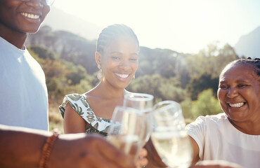 Vineyard celebration, wine or champagne glasses with family at an outdoor social event, picnic or park celebrating love, success and joy. Happy lifestyle of black people and women cheers with drinks