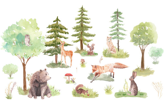 Watercolor set Forest Animals and Christmas Trees, watercolor woodland, bear, squirrel, fox, rabbit, deer, mouse, owl,  wolf,  
fly agaric,  for nursery, wallpaper, wall decor, stickers
