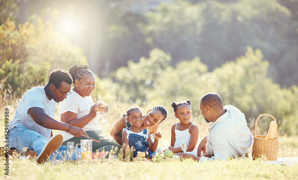 Wall mural black family, nature picnic and bond with children, parents and grandparents in remote countryside f