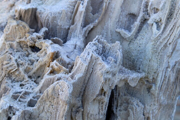 Ancient old petrified wood, excavation, minerals, as nice background Narrow focus line, shallow depth of field macro
