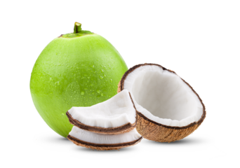 Coconut with water drop isolated on transparent (PNG)