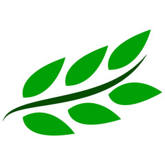 leaf icon ilustration vector