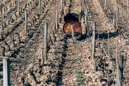 Une brouette pour bruler les sarments dans les vignes pendant l'hiver. Le travail de la vigne l'hiver. La pollution du brulage des d&eacute;chets.