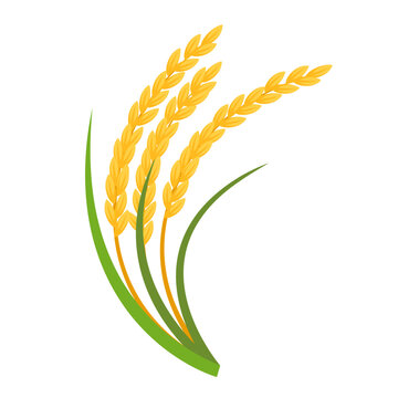 Rice Vector Images – Browse 211,760 Stock Photos, Vectors, and Video |  Adobe Stock