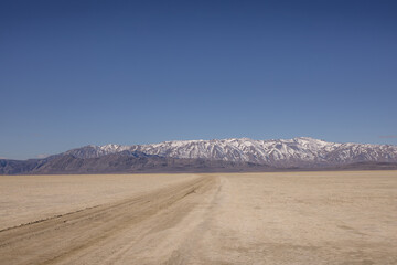  spring in Black Rock Desert , Nevada