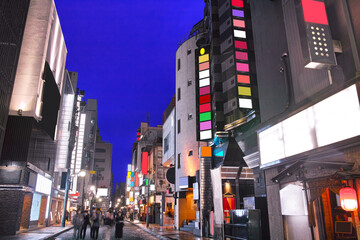 北海道札幌市のすすきの新宿通り、歓楽街の夜景
