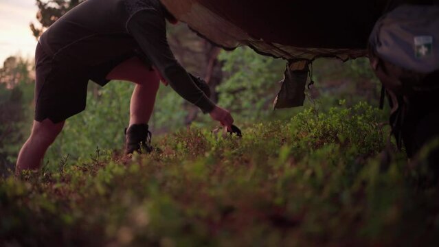 Camper Put His Slippers Under The Hammock Hanging In The Tree. - closeup