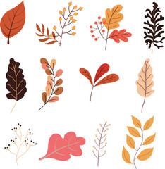 Hand drawn autumn leaf, Design Elements