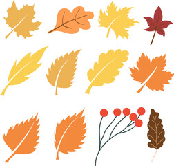 Hand drawn autumn leaf, Design Elements