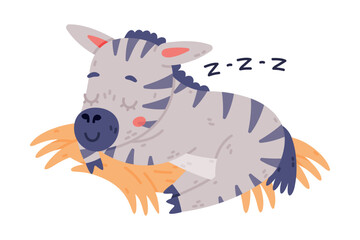 Funny Zebra with Black-and-white Striped Coat Sleeping on Hay Vector Illustration