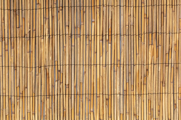 Reed fence wall as abstract background.