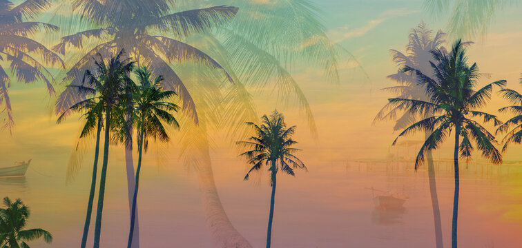 palm trees at sunset background 