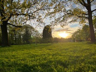sunrise in the park