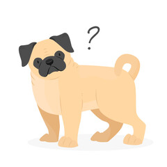 A pug dog with a question mark. Dog question. An uncomprehending dog with its head tilted. Vector pet illustration.