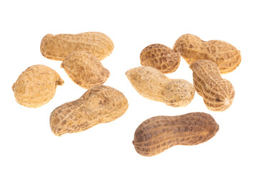 peanut in shell isolated