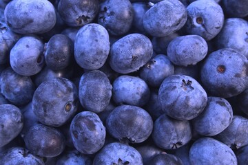 Fresh blueberry background. Blueberry texture top view, close-up.