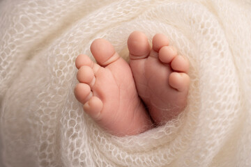 Soft feet of a newborn in a white woolen blanket. Close-up of toes, heels and feet of a newborn baby. The tiny foot of a newborn. Studio Macro photography. Baby feet covered with isolated background. 