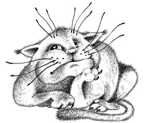 Romantic dreaming and slightly doubtful cat. For t-shirt designs, kindergarten and coloring books. Cheerful and funny character. Emoji.