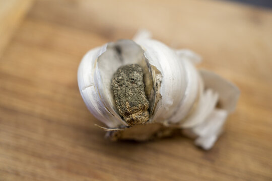 closeup of moldy garlic on a wooden board in the kitchen