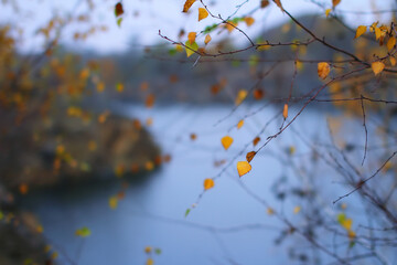 beautiful autumn landscape by the lake