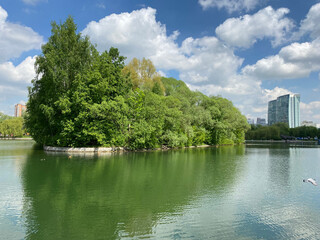 summer in city park at dry sunny day