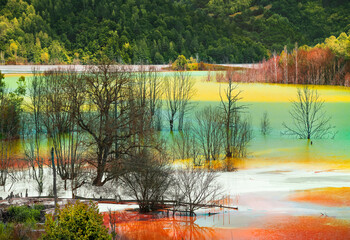 Toxic lake in Geamana