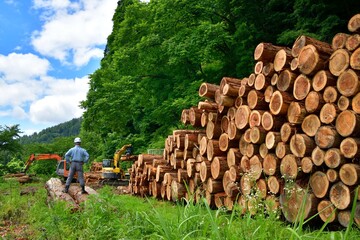 林業・国産材を出荷する