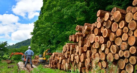 林業・国産材を出荷する