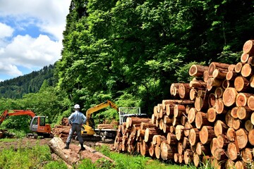 林業・国産材を出荷する