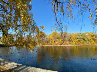 park in autumn at dry sunny fall day