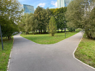 summer in city park at dry sunny day