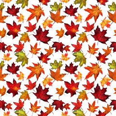 Watercolor seamless pattern with autumn red and yellow maple foliage on white background. Botany maple leaf illustration. Design for textile, packaging, season decor and background. Fabric template.