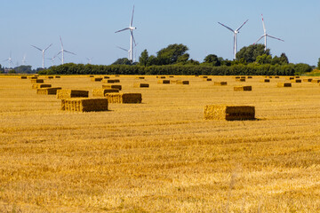 Renewable energy wind turbines behind a freshly harvested agricultural field with square hay bales