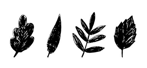Simple vector drawing with charcoal pencil. Black silhouette of different leaves isolated on white background. Deciduous trees, autumn foliage.
