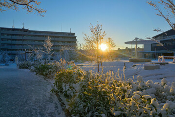 雪景色/Snow