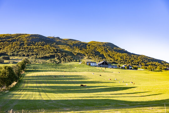 Farm under alpine resort in Oppdal. Oppdal is a municipality in Trøndelag county. It borders Surnadal and Rindal in the north, Rennebu in the northeast, Tynset in the east,Norway,scandinavia,Europe