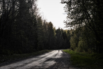 sunlit dirt road in Latvia countryside through dark gloomy forest