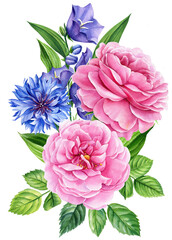 Roses, bluebells, cornflowers and lily. Bud, leaves, flower isolated white background, watercolor botanical painting. 