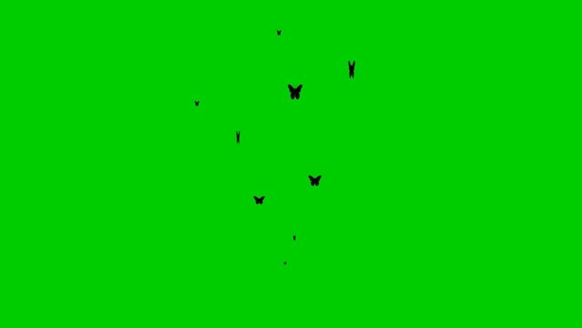 Animated black butterflies fly from bottom to top. A fountain from flying butterflies. Concept of summer. Vector illustration isolated on the green background.