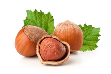 hazelnuts with green leaves on white background.